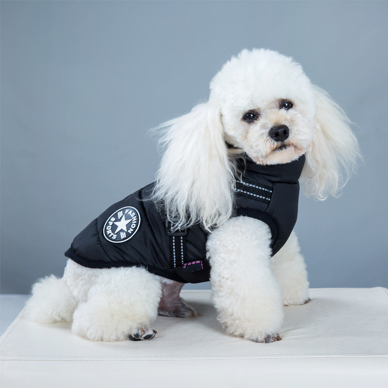 DOG Collars, Harnesses & Accessories