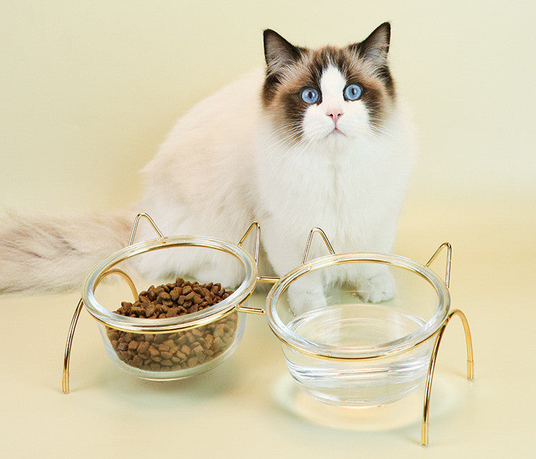 CAT Drinking & Feeding