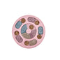 Dog Educational Toys To Relieve Boredom, Interactive Educational Feeding Toys
